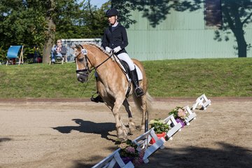 Bild 103 - Pony Akademie Turnier